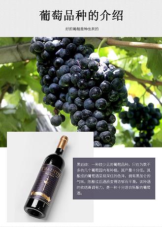 什么是1855红酒分级