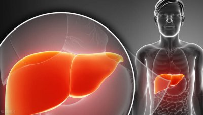 ​肝在身体的什么位置左还是右（肝脏在人体结构位于右侧，为什么中医说“肝生于