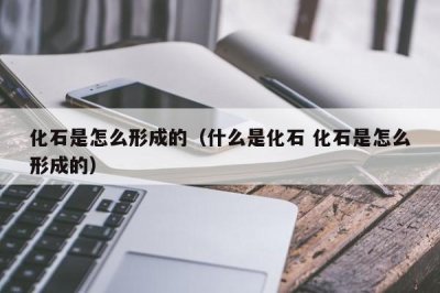 ​化石是怎么形成的（什么是化石 化石是怎么形成的）