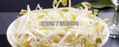 ​冻了的豆芽还能吃吗 豆芽冻了可以吃吗