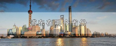 ​浦东在哪个省份 浦东在哪个省份地图