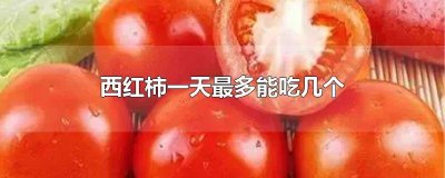 ​一天最多能吃多少个西红柿 一天最多可以吃多少个西红柿