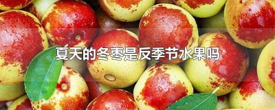 ​冬枣是秋天的吗 冬枣在夏天为什么叫冬枣呢