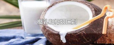 ​椰乳和椰奶一样吗 椰汁跟椰乳的区别