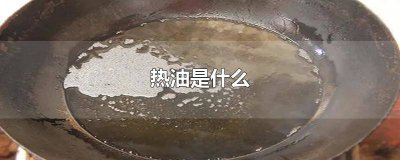 ​菜谱上的热油是什么 热油是菜油吗