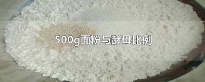 ​500g面粉与酵母比例 500g面粉与酵母比例多少