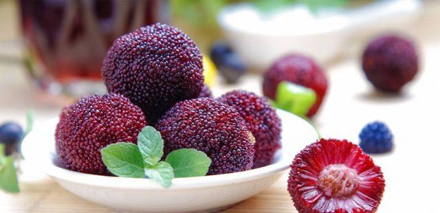 生活水果分类有哪些？42个科154种水果别说吃过，你见过多少  3