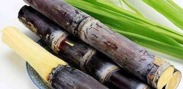 生活水果分类有哪些？42个科154种水果别说吃过，你见过多少  7