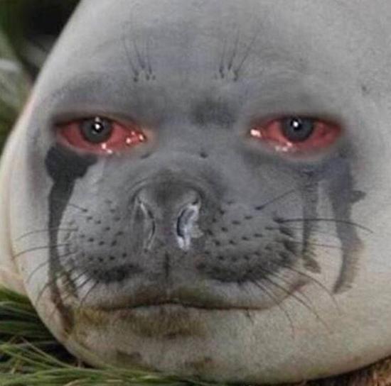 囧哥:两男子驾考作弊“五花大绑”黑胶带贴满身 堪称哲学现场