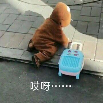 囧哥:两男子驾考作弊“五花大绑”黑胶带贴满身 堪称哲学现场