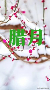 ​腊月十六是什么日子？出现风雪雷雾有什么说法？过去的谚语有预兆