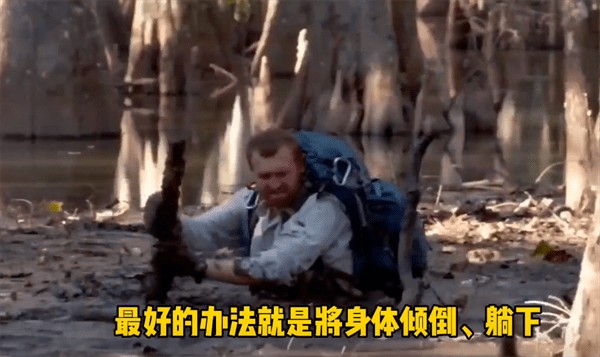 沼泽地人沉下去到哪了(沼泽地下面是啥)