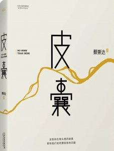 ​《皮囊》评价（皮囊这本书讲的是什么）