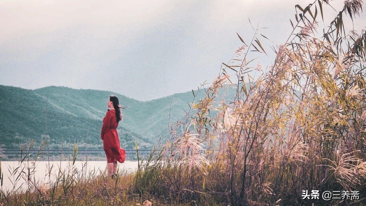 《登飞来峰》北宋王安石（登飞来峰原文及翻译）
