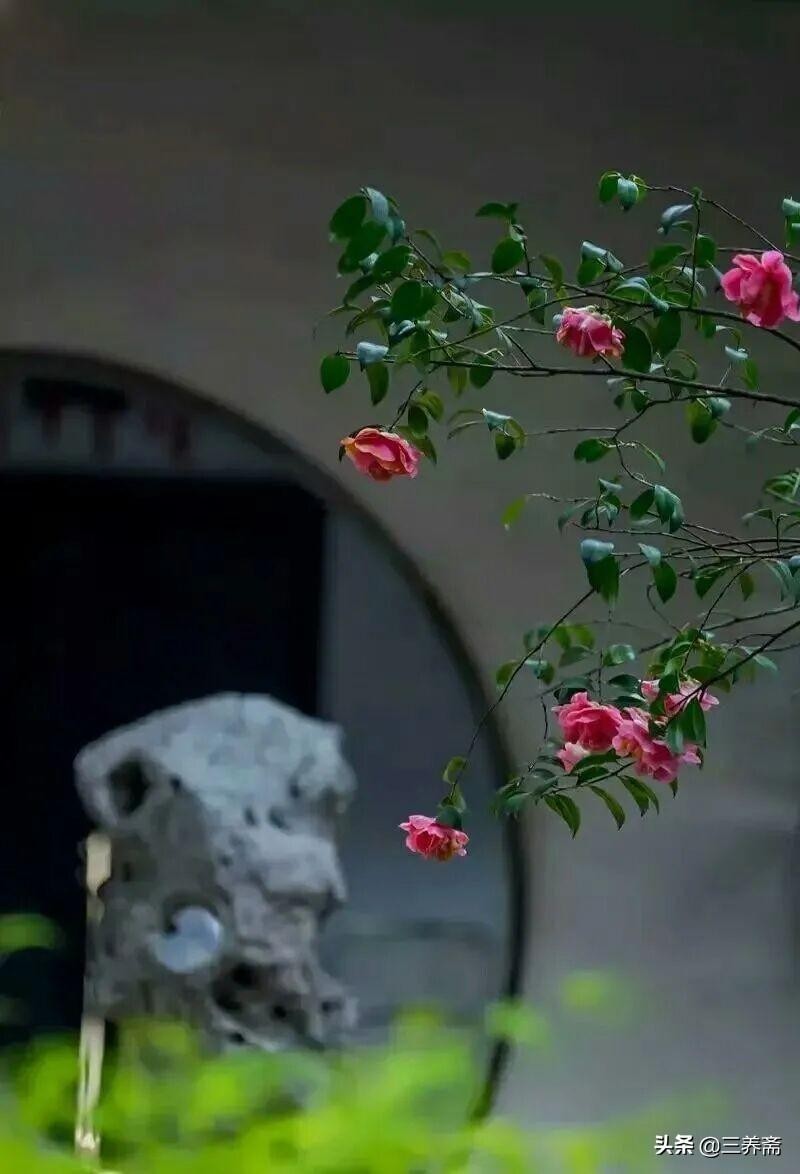 《登飞来峰》北宋王安石（登飞来峰原文及翻译）