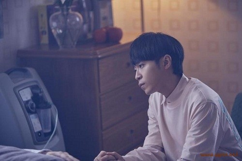 《小情歌》歌词完整版（小情歌歌词是什么意思）