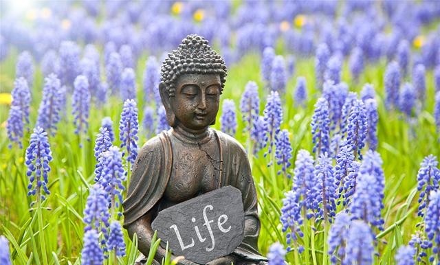 余华《活着》经典句子(余华经典句子) 余华 句子 第7张