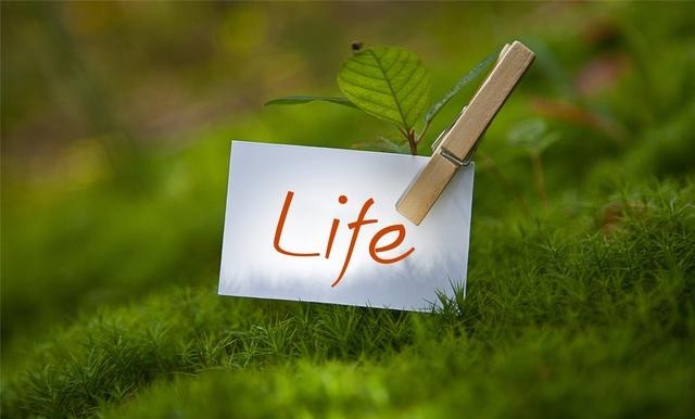 余华《活着》经典句子(余华经典句子) 余华 句子 第8张