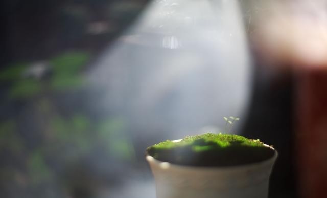 余华《活着》经典句子(余华经典句子) 余华 句子 第6张