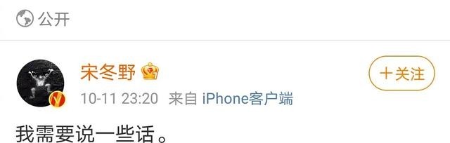 宋冬野为什么封禁(宋冬野为什么可以复出) 宋冬野 第2张