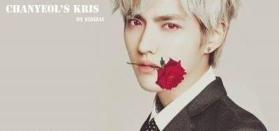 ​TFboys变身叼花少年团,你愿意接受谁嘴中的花?