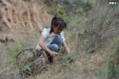 ​10岁孤女继承百万遗产众人争当监护人，这件事你怎么看？