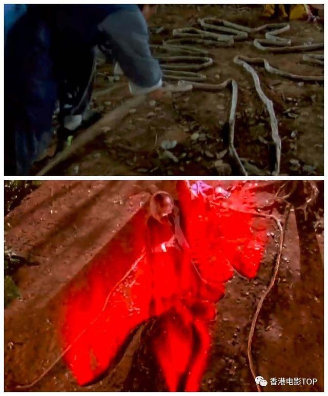 香港怀旧经典电影僵尸片(精选香港十部经典僵尸片)(22)