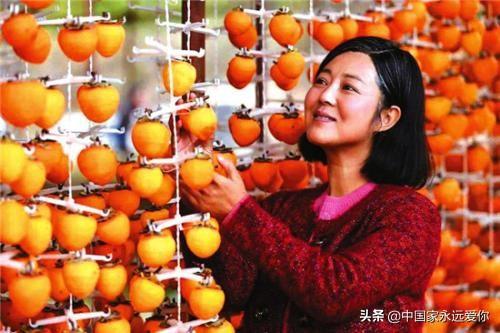 王茜华演的电视剧农村（演好农村戏是我一生的使命）(9)