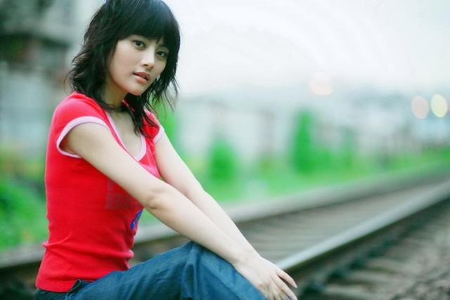 爱情公寓这些年客串明星（爱情公寓客串演员大揭秘）(9)