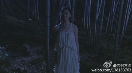 爱情公寓这些年客串明星（爱情公寓客串演员大揭秘）(20)