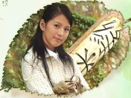 四部被翻拍的电视剧颜值好高（又是一部翻拍剧）(16)