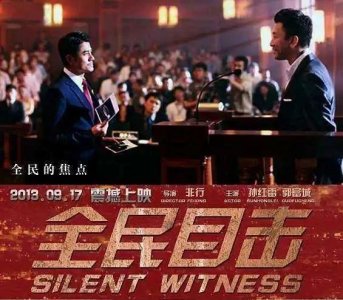 ​全民目击电影证据问题（全民目击好评如潮）