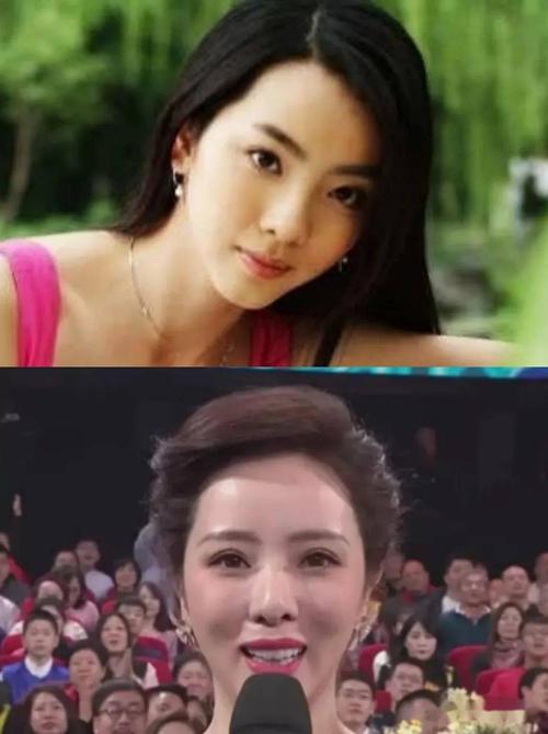 李思思整容，如何评价李思思的长相,本文共（1165字）