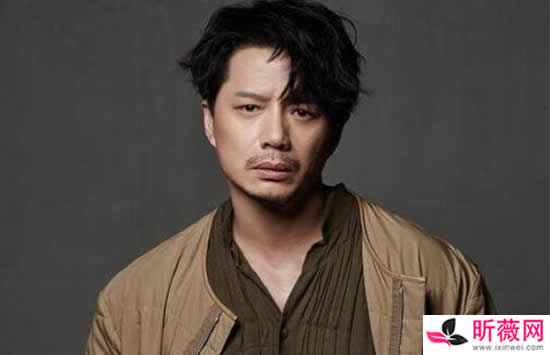 董璇演过的电视剧电影有哪些