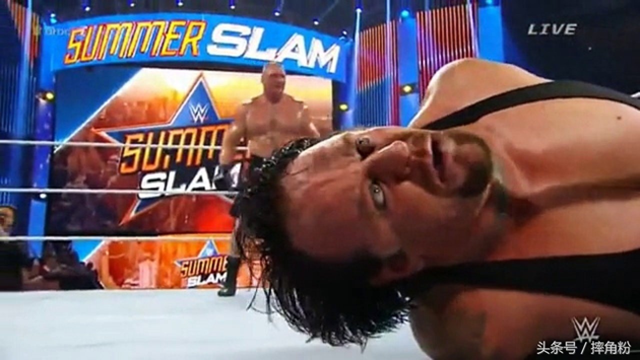 WWE是假打？你没看到这些