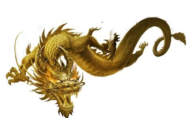 求解释《天下一家打一生肖》