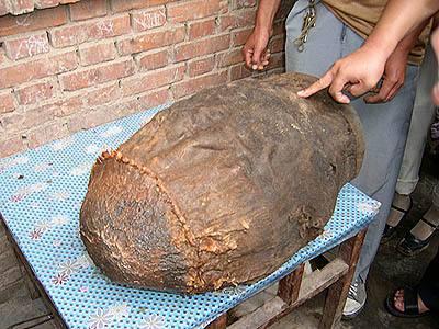 如何鉴别石太岁（太岁分为三种专家说）(4)