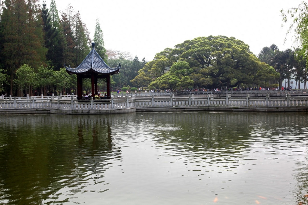 它是全国十大森林公园之一，森林覆盖率高，被誉为“福州之肺”