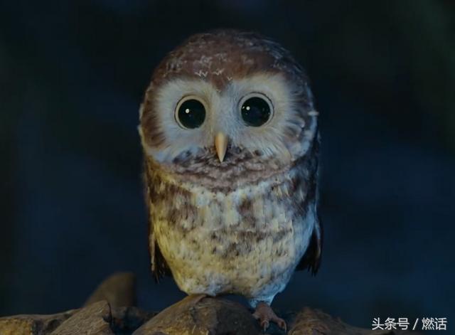 那些赢了票房却输了人心的电影（被骂惨又票房几亿）(47)