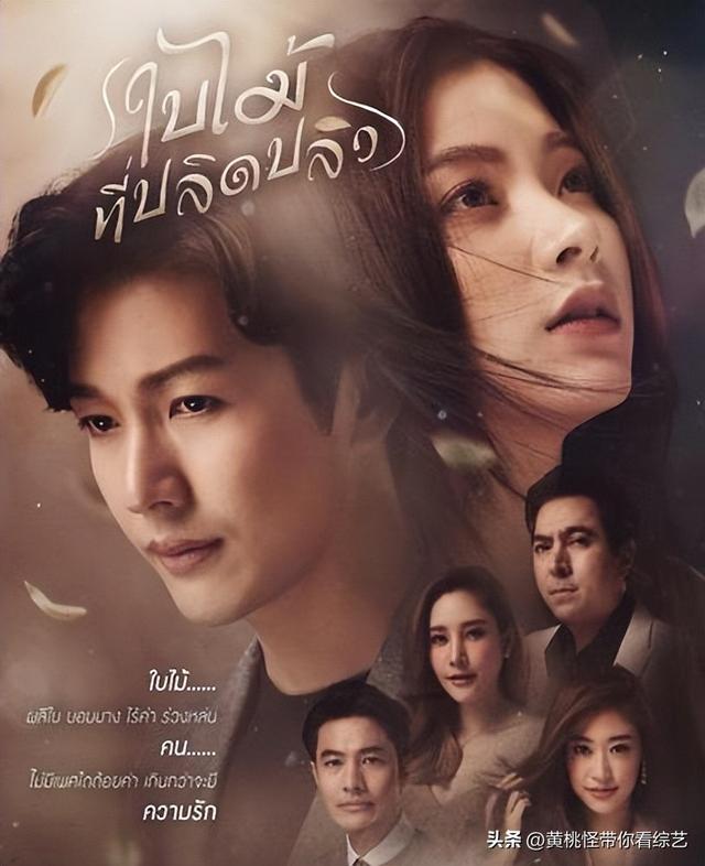 泰剧om与pinky（泰剧当年顶流Pinky傍大款当小三）(3)