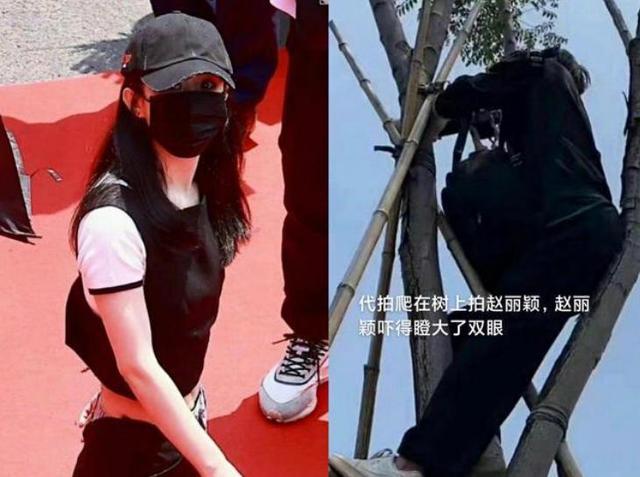 《莲花楼》剧组打架原因是什么 剧组打架原因有哪些？