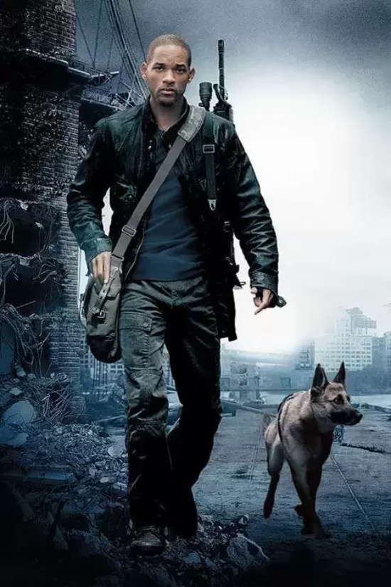 丧尸题材电影有哪些（八部丧尸题材电影推荐）