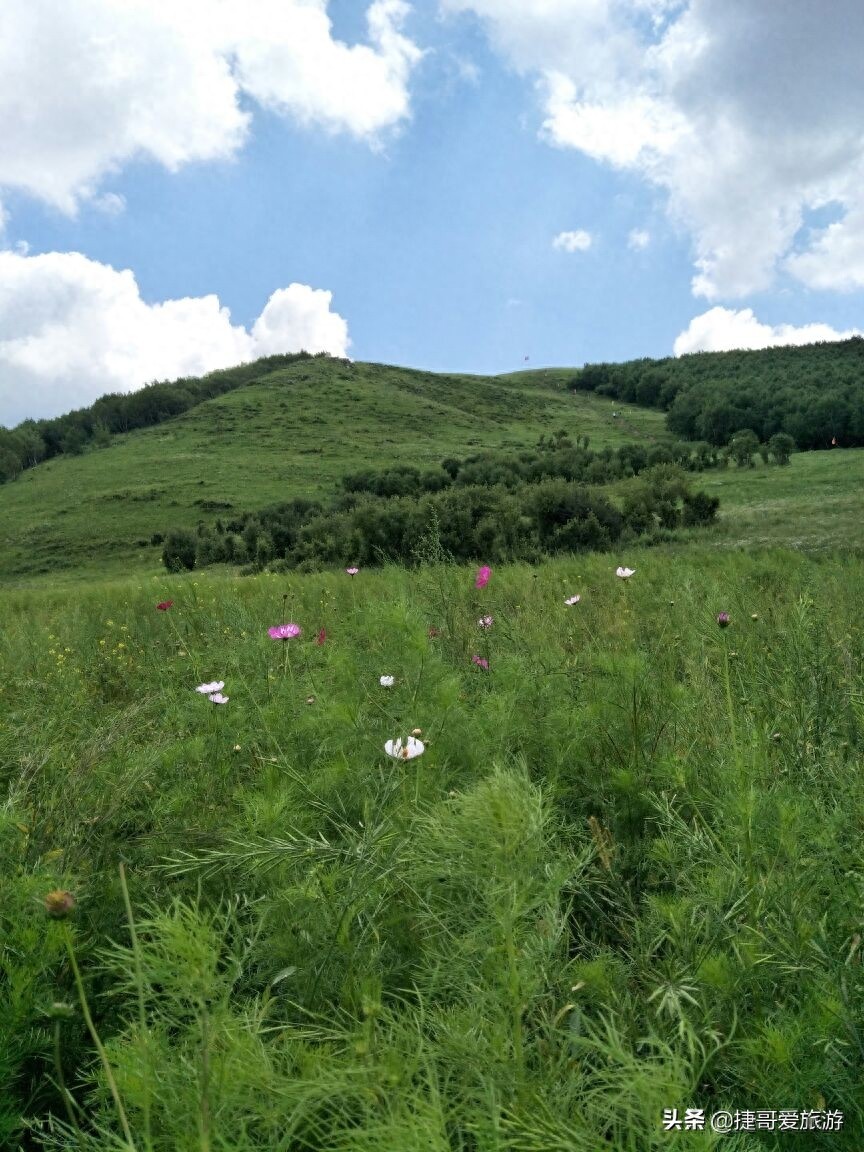 河北省 承德市 丰宁满族自治县 丰宁坝上草原