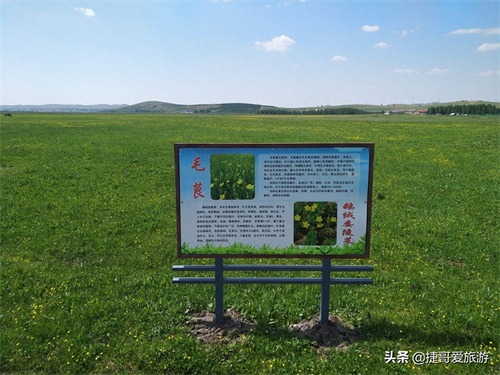 河北省 承德市 丰宁满族自治县 丰宁坝上草原