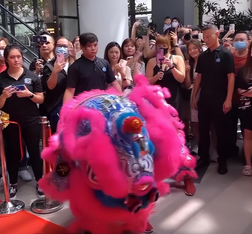 罗志祥演过哪些电视剧_罗志祥现状