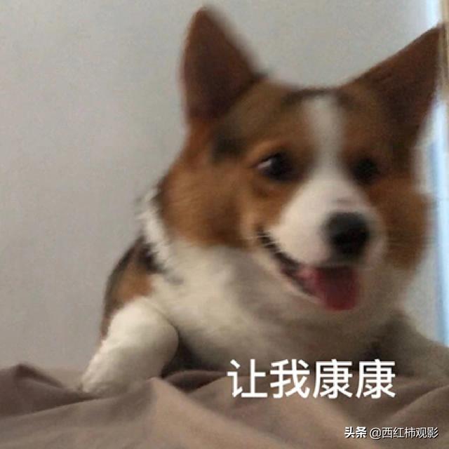 古装剧推荐女扮男装（盘点国产剧中优质的女扮男装）(3)