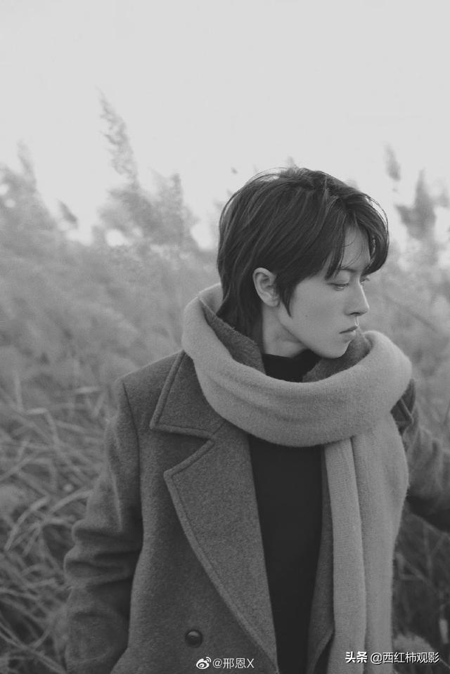 古装剧推荐女扮男装（盘点国产剧中优质的女扮男装）(13)