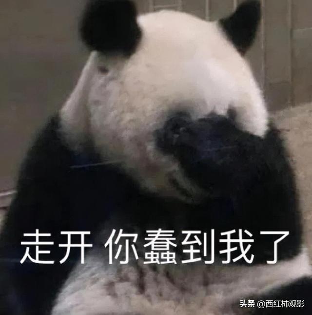 古装剧推荐女扮男装（盘点国产剧中优质的女扮男装）(2)