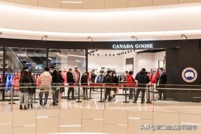 ​你知不知道加拿大鹅？不是打人的那个