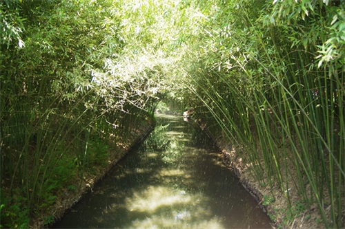 北京紫竹院公园